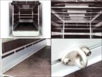 Anhänger mit Plane 185×400 cm 2600 kg | Typ 10.26 | Hochplane 200 cm – Schwarz-Neu – Bild 9